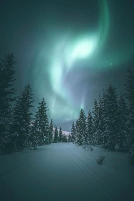 Aurora Apartment Tromsdalen Bagian luar foto